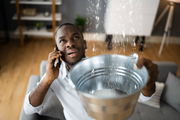  Ligonier, IN Water damage restoration Pros