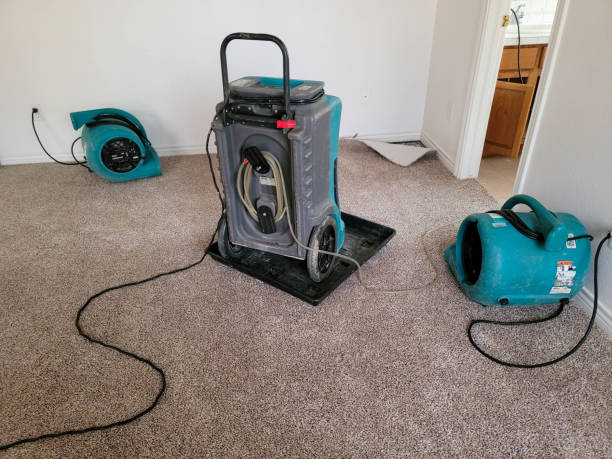 Best Sewage cleanup and water damage restoration  in Ligonier, IN