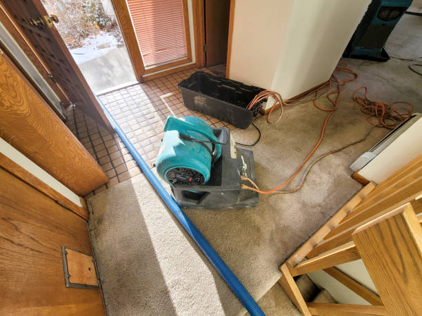 Best Basement water damage restoration  in Ligonier, IN