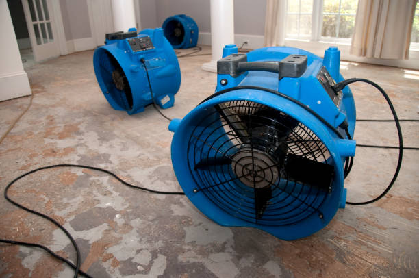Best Local water damage restoration  in Ligonier, IN
