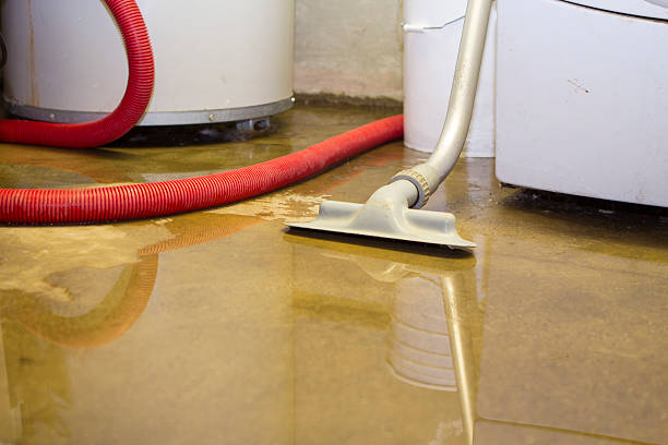 Best Water damage cleanup near me  in Ligonier, IN