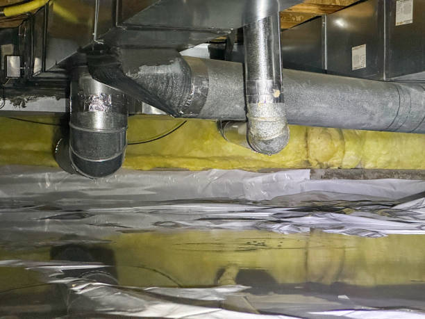 Best Local water damage restoration  in Ligonier, IN