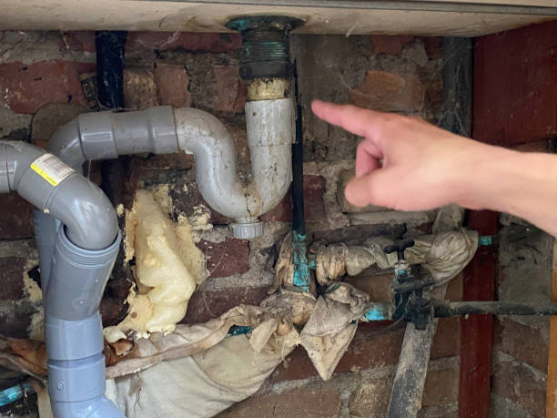 Best Fire Damage Restoration  in Ligonier, IN